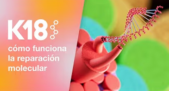 Cargar video: 